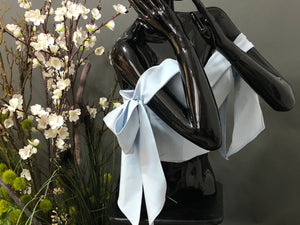 SOFT BLUE BOWS