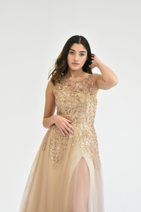 TULLE GOWN WITH GOLD EMBROIDERY DETAILS